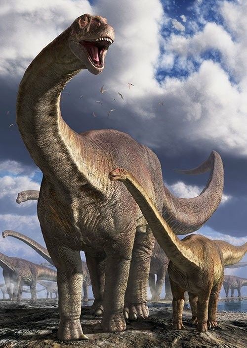 Imagens de Dinossauros - Imagens para Whatsapp
