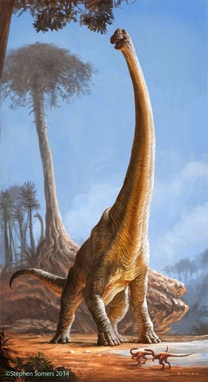 Dinossauros (7)