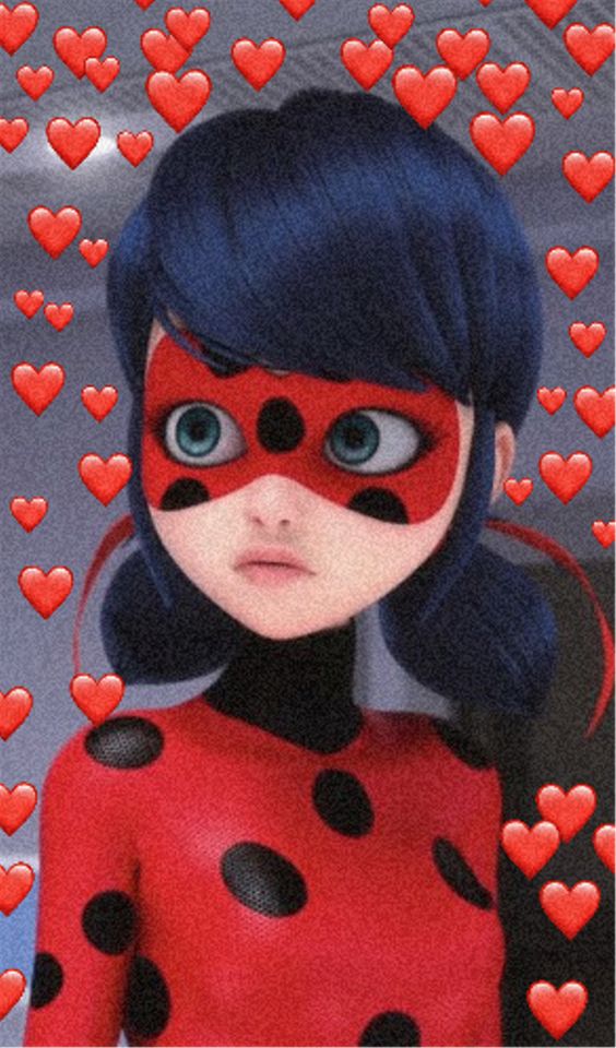 Imagens da Ladybug (11)